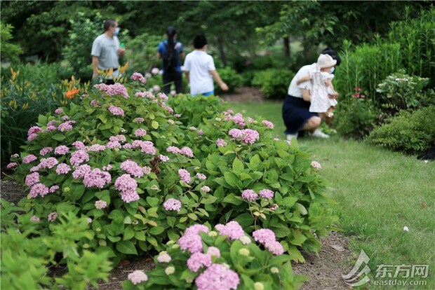 上海六一再開131座城市公園