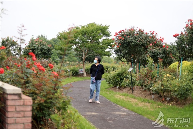 上海六一再開131座城市公園