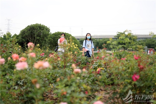 上海六一再開131座城市公園