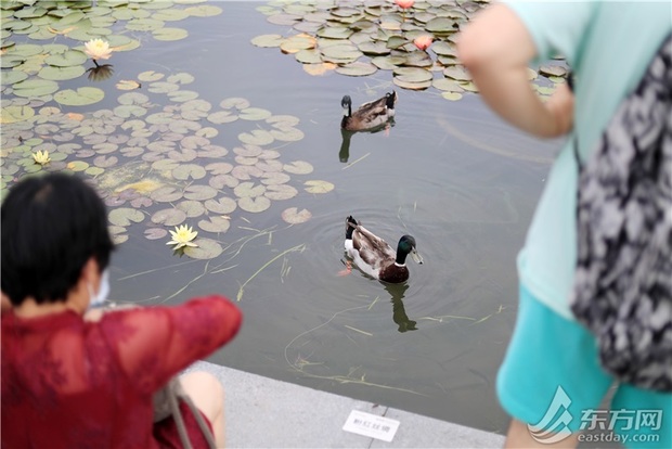 上海六一再開131座城市公園