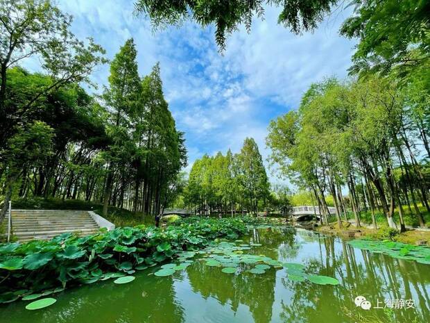 解鎖家門口賞荷地圖 水果“夏令營”甜蜜來襲