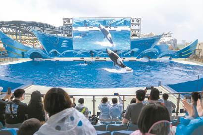 【旅遊—小文字】上海海昌海洋公園恢復運營