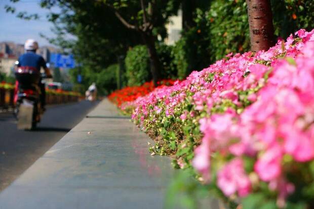 解鎖家門口賞荷地圖 水果“夏令營”甜蜜來襲