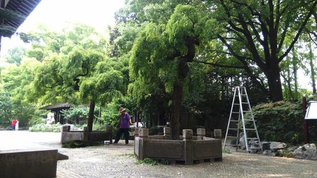 上海這座古典園林中秋開啟夜遊模式 打造3年的夜景燈光首次亮相