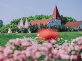 【文化旅遊-滾動圖】上海辰山植物園上新打卡點“海誓山盟” 拉滿浪漫氛圍感