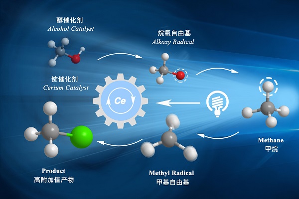 圖片默認標題_fororder_15