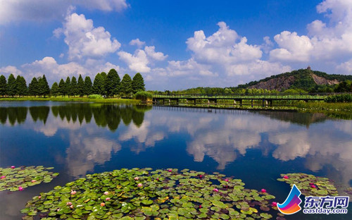 申城公園八月花展活動全攻略