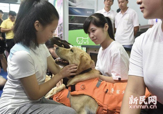 用我的眼帶你看世界——導盲犬亮相亞寵展