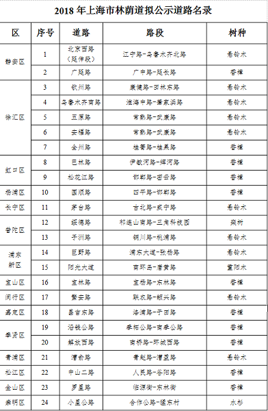 今年有望再增24條 申城林蔭道正逐步連線成片