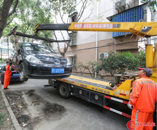 普陀區集中開展“僵屍車大清運”攻堅戰 200余輛車挪了窩