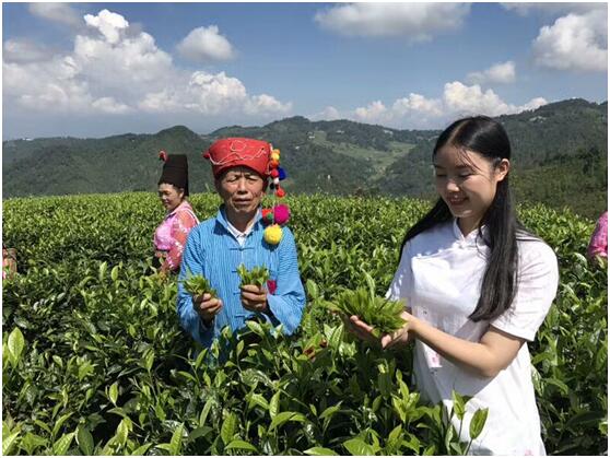 滬滇合作添亮點 雲南梁河特色農産品在滬拍賣