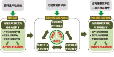 華東理工歷時10年找到工業發酵關鍵因素 助企業綠色“智造”