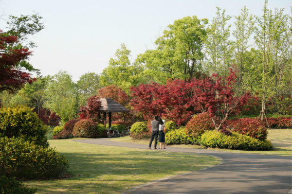 2018上海紅楓節在崇明東平國家森林公園開幕