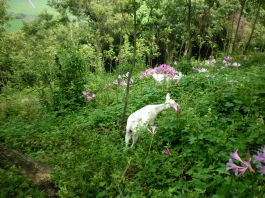 登高好去處：上海這幾座山景色絕佳