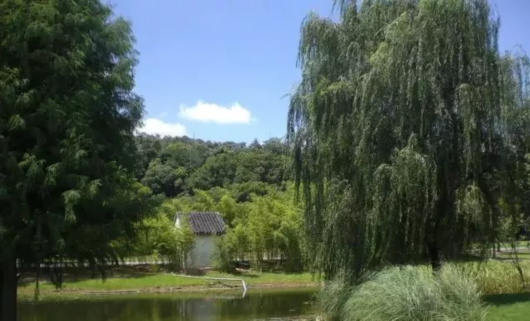 登高好去處：上海這幾座山景色絕佳