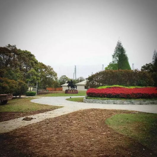 上海超大郊野公園的遊玩指南 週末就約崇明長興島