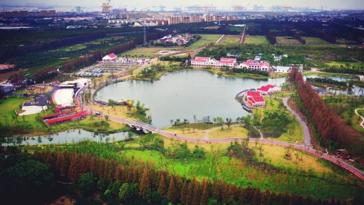 上海超大郊野公園的遊玩指南 週末就約崇明長興島