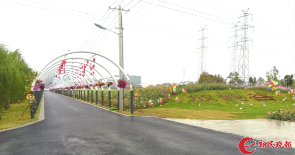 “違建重災區”華麗變身百畝花海 吳涇鎮放鶴谷正式開園