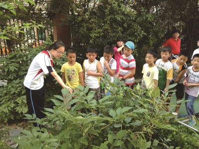 上海中小學 家家都有本“傳統文化經”