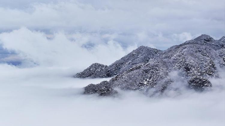 雲海勝境 水墨畫境