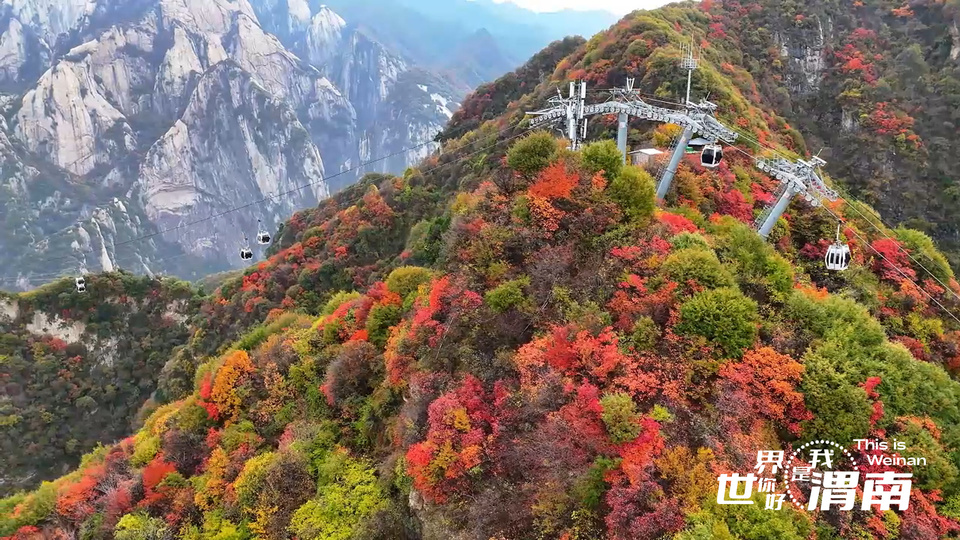 【Charming陜西】紅葉如霞染華山