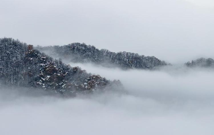 雲海勝境 水墨畫境