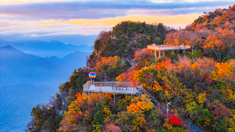 漢中龍頭山：千枝萬葉披霞錦 秋色斑斕碧雲邊