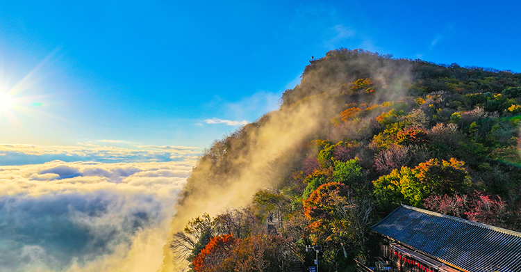 漢中龍頭山：千枝萬葉披霞錦 秋色斑斕碧雲邊