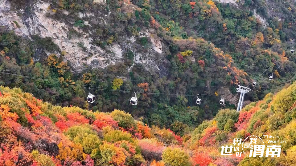 【Charming陜西】紅葉如霞染華山