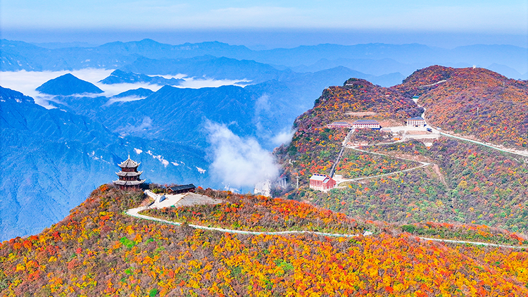 漢中龍頭山：千枝萬葉披霞錦 秋色斑斕碧雲邊