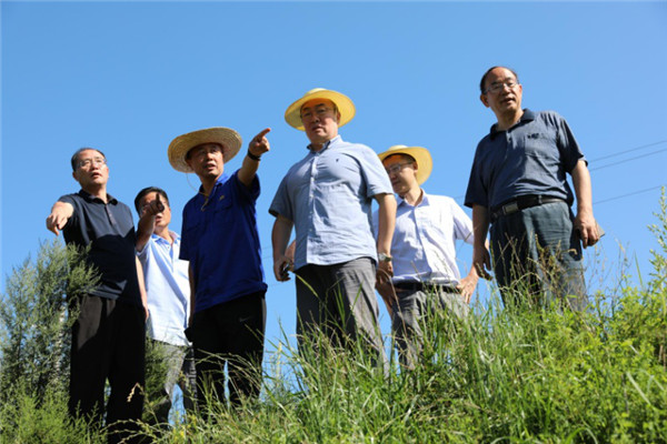 陜西有色金鉬集團：快速應對強降雨 爭分奪秒保生産