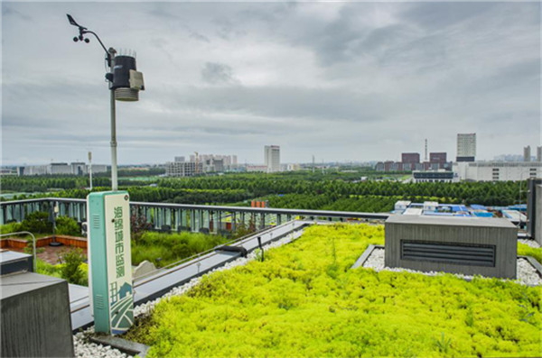 （藏總照片確認過 ）【A】國際在線董事長藏具林一行調研西鹹新區灃西新城