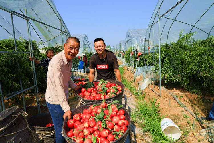 【有修改】陜西漢中：勠力同心拔窮根 砥礪前行奔小康