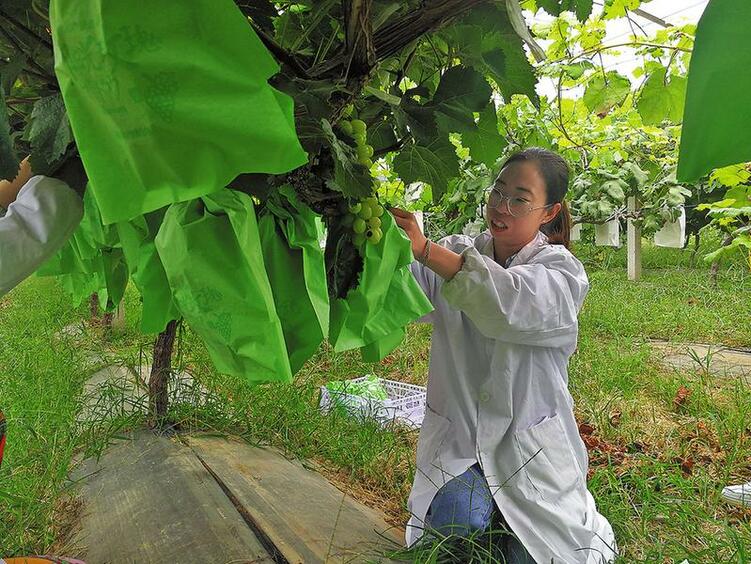 80後女碩士“葡”寫別樣人生