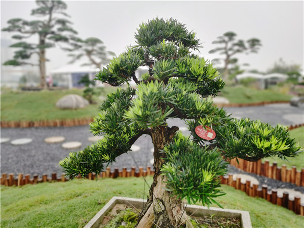 【加急】“花舞長安·園夢全運”  2020西安花園大會在西鹹新區涇河新城開幕