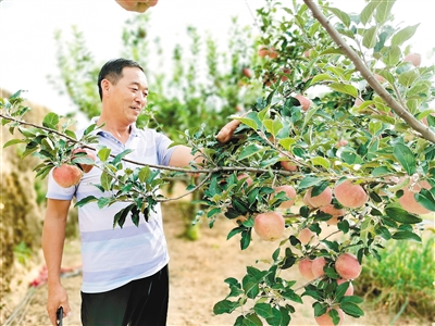 60余載 陜北高西溝“不向黃河輸入一粒沙”