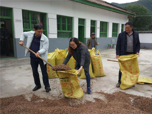 （有修改）（加急）（統戰部的活動稿子  寶雞民進陳倉區總支   附連結）統戰宣傳基層行|“駐村隊長”陳海寧：大山深處的築夢人