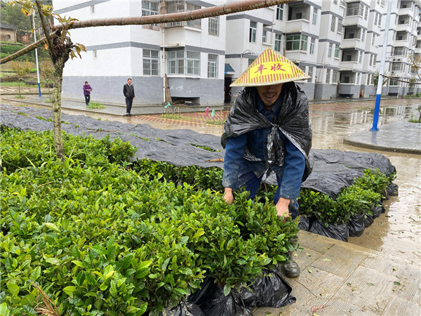 （新的社會階層是指新經濟組織、新社會組織等新興業態及社會群體，是統戰系統用語，後附中新網連結）堅守的力量：一個陜西新階層人士的科技扶貧樣本