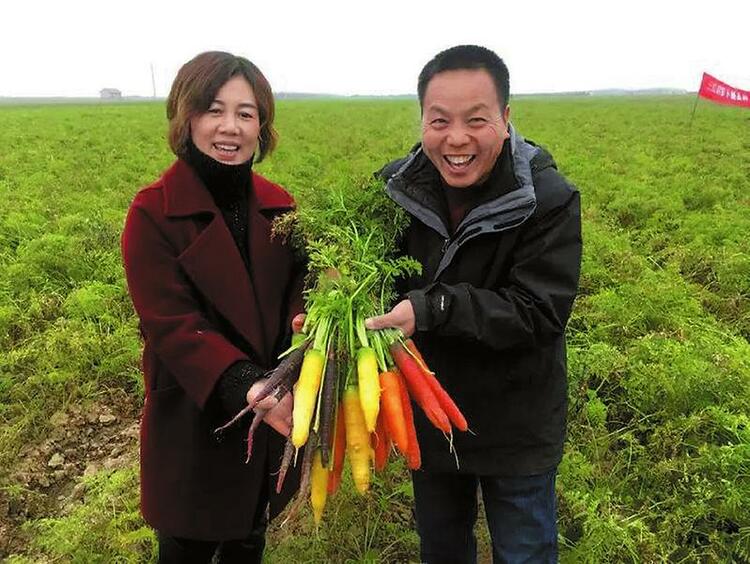 渭南市大荔縣：小小紅蘿蔔 振興大産業