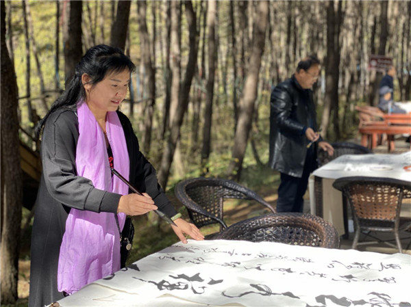 延安黃陵國家森林公園開展多種敬老、踏秋活動