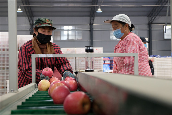 渭南白水：創新發展模式 集體經濟啟動鄉村振興新引擎