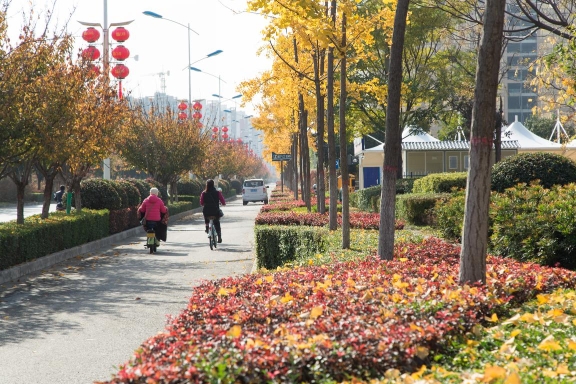 17個綠化項目按時按質竣工 西安航空基地全面推進城市綠化建設 提升綠化惠民成果