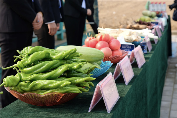 渭南市華州區：堅持産業帶動 拓寬增收渠道 農村改革變出致富好生活