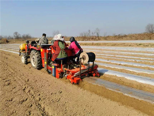 西安市高陵區：防疫生産兩手抓 農業生産開啟加速模式