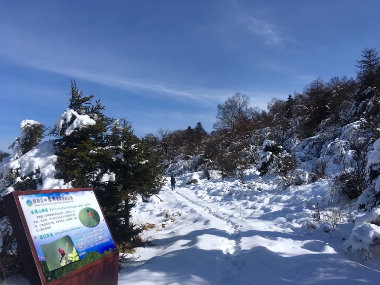 陜西秦嶺林區又新增一處國家濕地公園