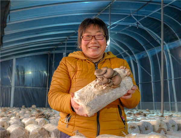 【脫貧戶的新年願望】陜西合陽職業“新農民”張俊玲：期待全家住新房 奔小康