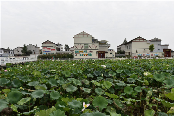 （扶貧社模式入選 2019年全球減貧案例  附連結）決勝貧困的漢中答卷