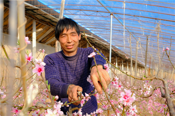 （加急 已改）【新春走基層】春暖三秦年味濃   希望的田野上印滿奮鬥足跡