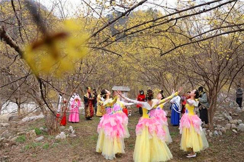 【中首  陜西】漢中佛坪“茱萸花海踏春遊”活動啟動