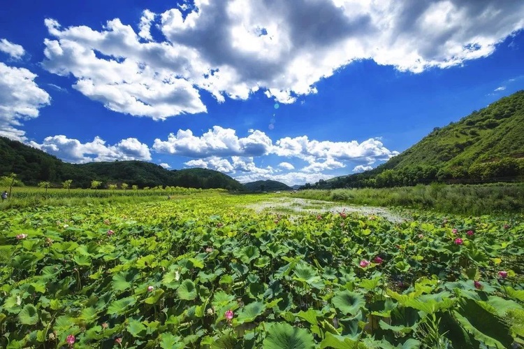 推薦丨暢遊陜西 延安：黃土高原 紅色經典